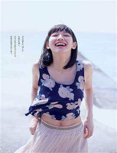 秋海棠 电视剧