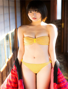 电视剧在线